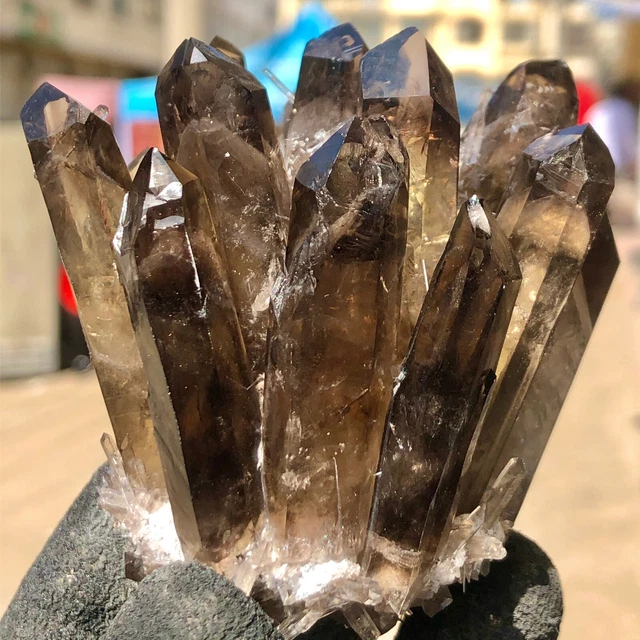 239G  New Find Black Phantom Quartz Crystal Cluster Mineral Specimen Healing