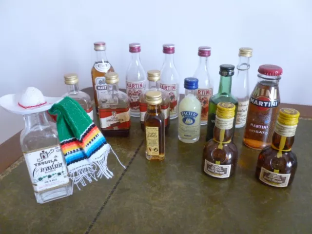 Lot 36 Mignonettes Alcool Mini Bouteilles Malibu Ouzo Chivas