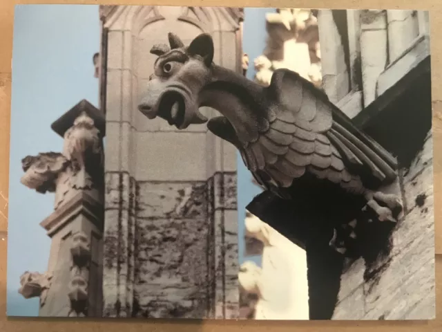 Postcard Gargoyle, Belgium, Mechelen- Goat Head Bird Body, Cathedral St Rumbold