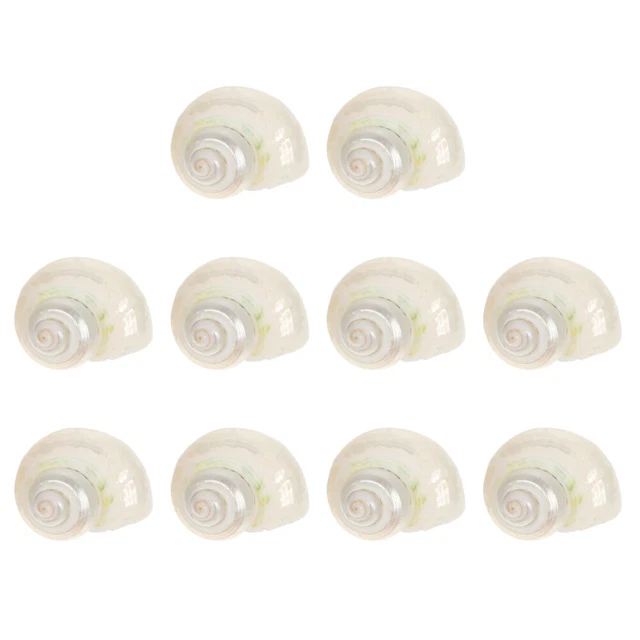 10 piezas Decoración de caparazones naturales caracola pecera caracola decorativa cáscara adornada