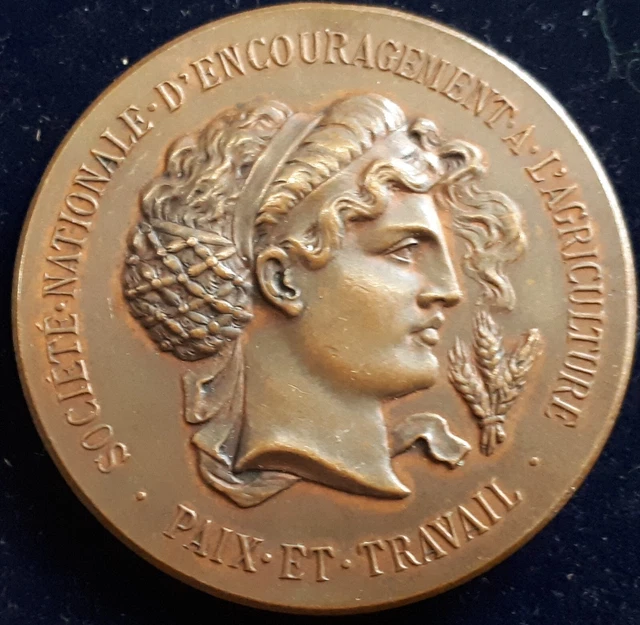 Médaille Bronze Société Nationale D’encouragement À L’agriculture Paix , Travail