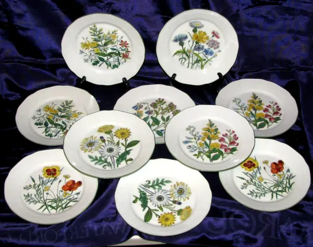 Vintage Bareuther  Waldsassen Bavaria Set of 10 Floral Plates #262