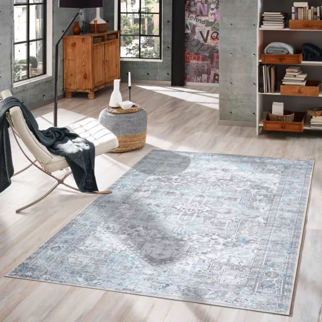 GLN Rugs Memphis Liquid Dirt Repellent Machine Washable Vintage Nano Area Rug