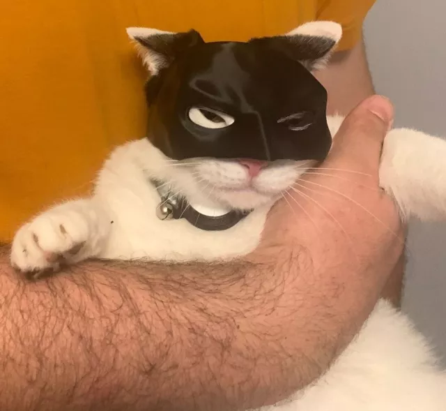 Batman mask for cats, black 3D printed, Halloween costume for your cat