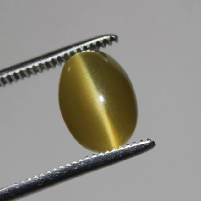 6.60 Ct Natural Certified Yellow Chrysoberyl Cat's Eye Oval Cabochon Loose Gem