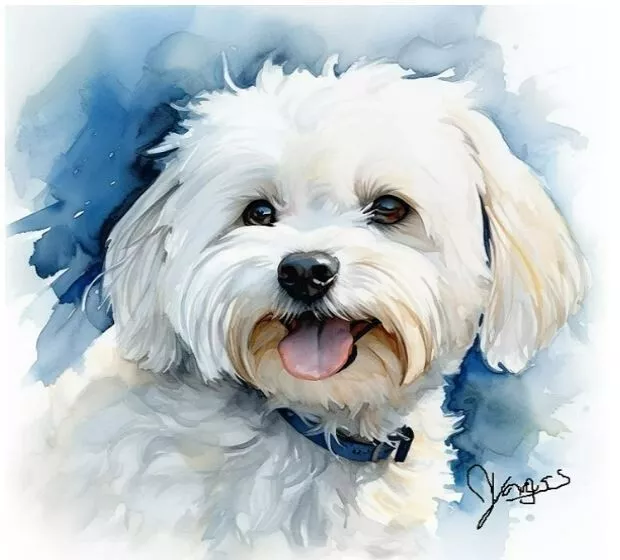 Watercolor Maltese Painting Art Print 8x11 inch