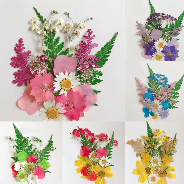 14X Natural Pressed Dried Flowers for Epoxy Resin Jewellery Making DIY Art Craft