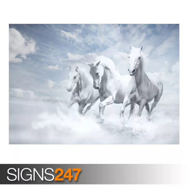 WHITE HORSES (3381) Animal Poster - Picture Poster Print Art A0 A1 A2 A3 A4