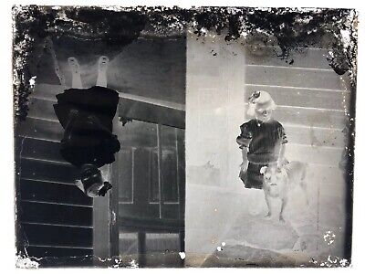 6.5x8.5 Glass Negative Young Girl With Dog Dual Photo Circa 1900