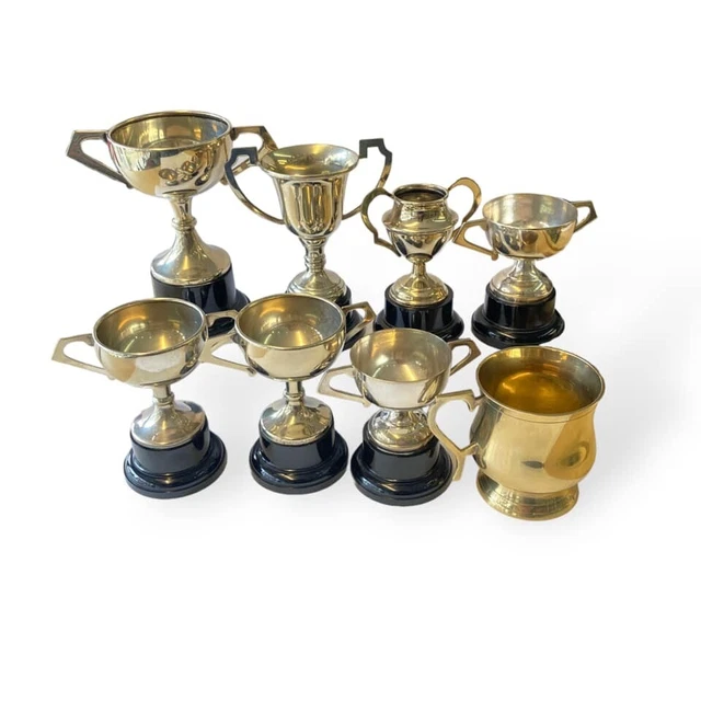 7x Silver Plated 1x brass Cups with handles. Ideal for Theatre, TV & Film Props