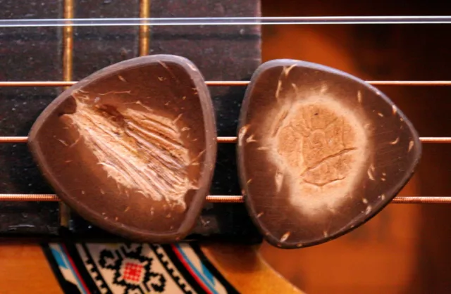 2 Coconut Guitar Picks + Gibson Les Paul Guitar SG Standard Custom Studio ART