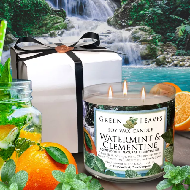 Watermint And Clementine Scented Soy Wax Candle, Freshly Handmade When You Order