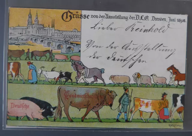 sehr alte Künstlerkarte  Ausstellung DLG Dresden 1898