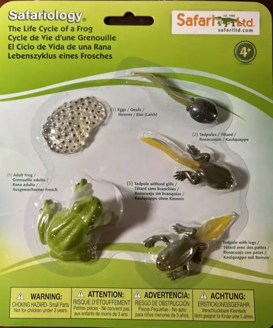 LIFE CYCLE OF A FROG Animal Figurine Safari Ltd. Toy Safariology ...