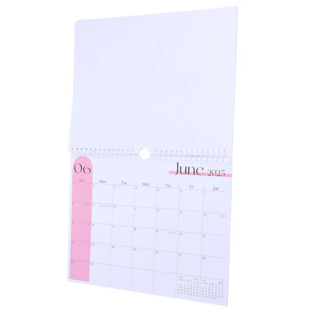 2025 MONTHLY CALENDAR Wall Hanging Calendar Twin Wire Binding Large ...