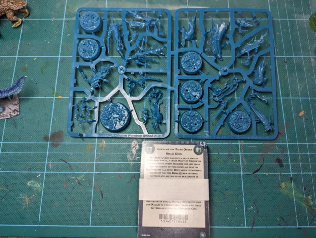 Warhammer Underworlds Thorns Of The Briar Queen Warband Mirrored City Edition