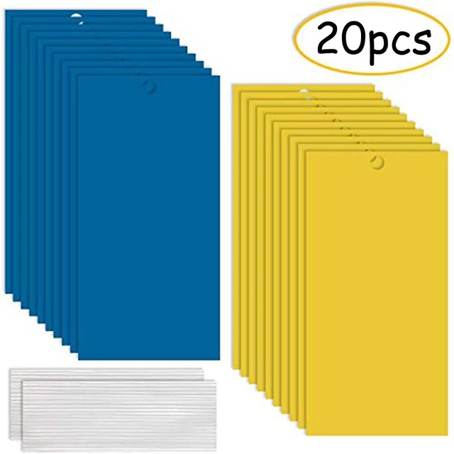 Papier piège à mouches bleu collant efficace 20 pièces pièges attrape-insect