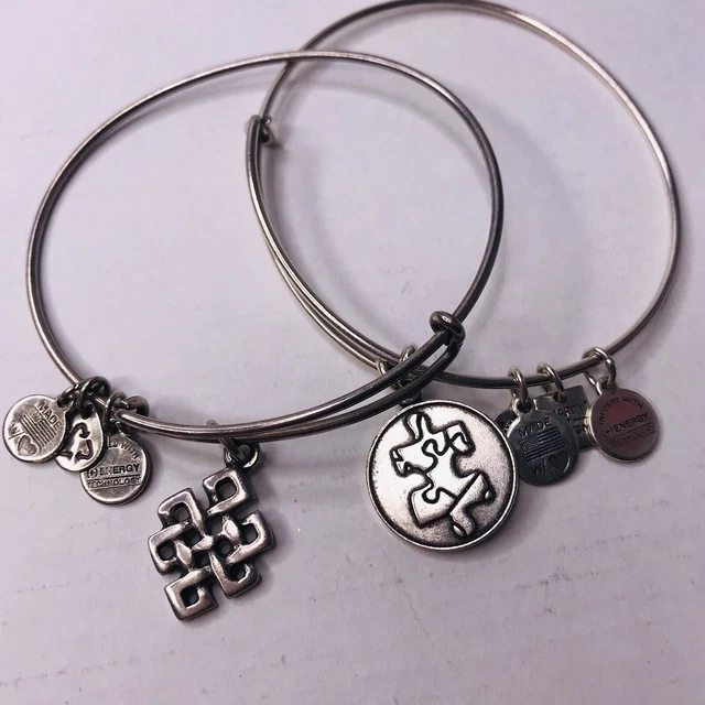 ALEX & ANI Bangle Endless Knot Autism Puzzle Piece SIlver Tone Bracelet set 2