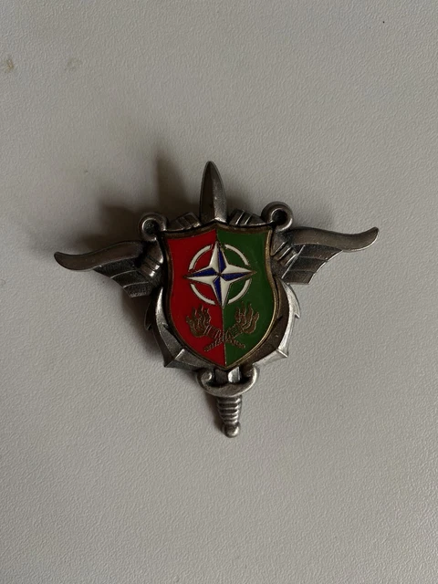 Insigne 6eme groupe autonome d artillerie - Insignes - Pucelles - Fourragères (11311453