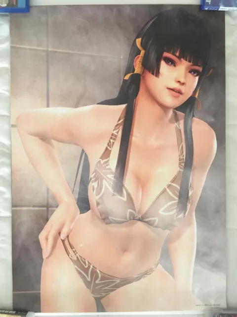 Dead or Alive Xtreme 3 Nyotengu B2 Poster