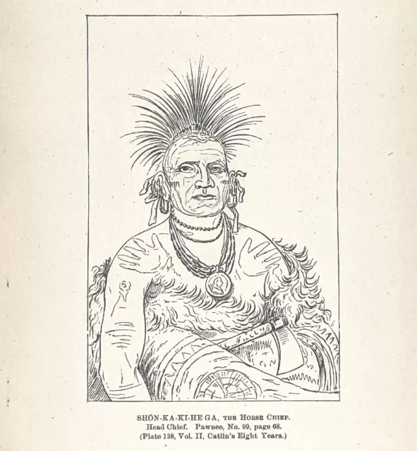 1885 Pawnee Head Chief Engraving Horse Chief G. Catlin Native American