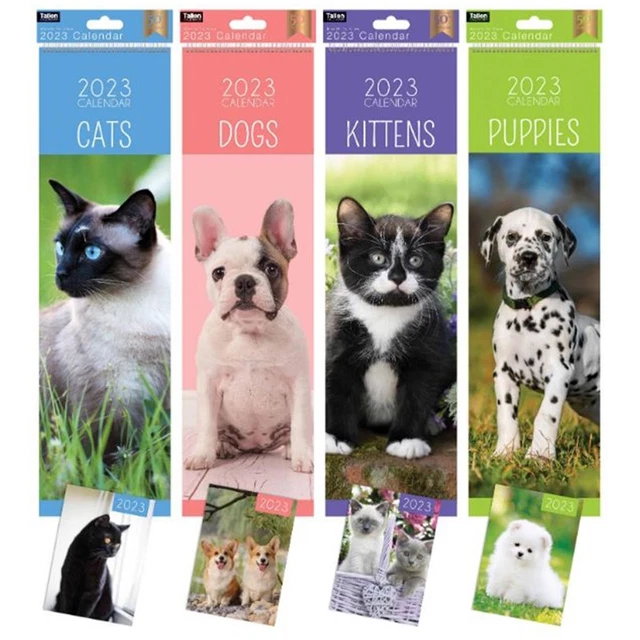 2023 SLIMLINE WALL Calendar Month to View and Matching Diary Choose Design £2.49 PicClick UK