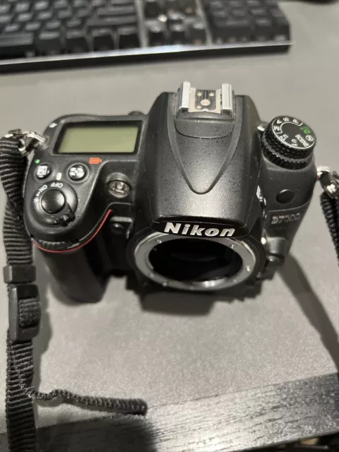 Nikon D D7000 16.2 MP Digital SLR Camera - Black