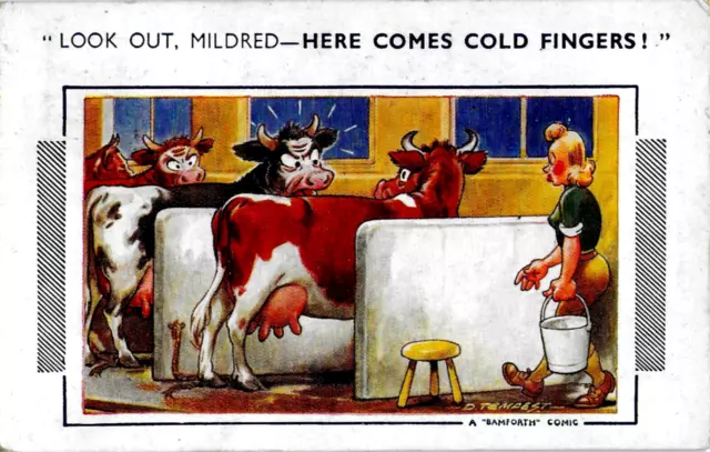 Vintage Saucy Postcard Satire Bamforth 984 Brown Triangle Farming Milking Cows