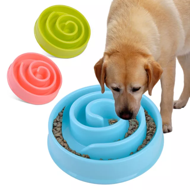 8" Anti Gulping Bowl Pet Dog Cat Puzzle Feeder Slow Eating Food Plastic Healthy