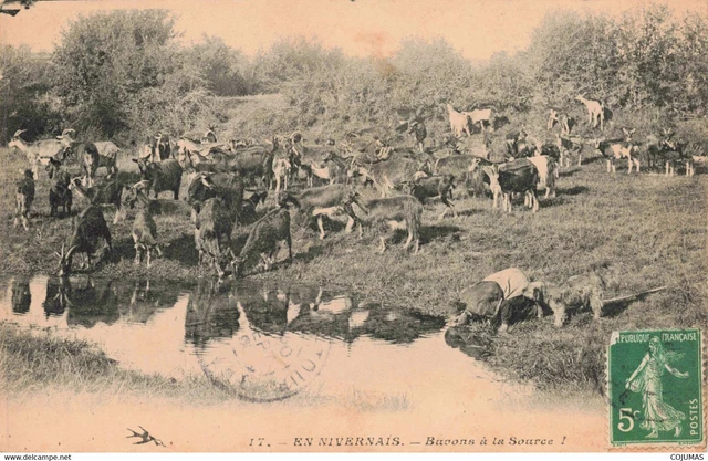 58 - NIEVRE - S08275 - En Nivernais - Buvons � la Source - Agriculture - L1
