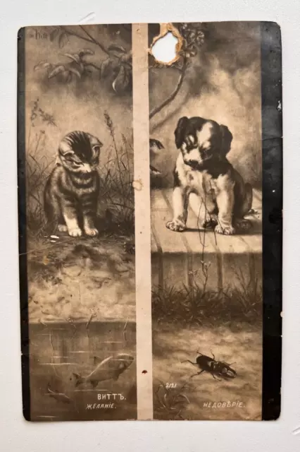 1900s Old Postcards Cat Dog Animals Vintage postcards