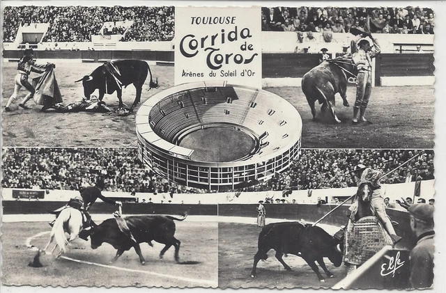 Corrida pédestre de Toulouse - Photos et vidéos édition 2019