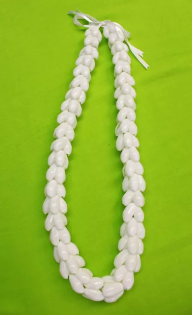 Hawaiian Wedding / Graduation Shell Lei Hula Luau Jewelry Necklace ~ White