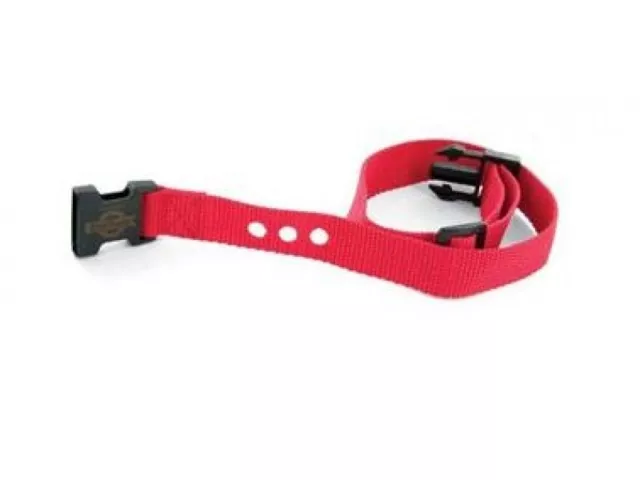 Wireless/Stubborn Dog In-Ground Replacement Collar 1 inch 3 consecutive hole