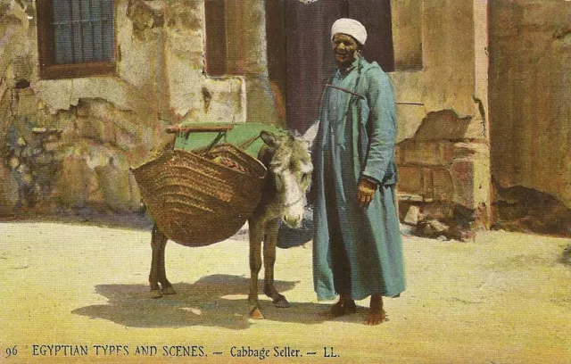 Postcard Africa Eegypt Scenes & Types Vegetable Merchant