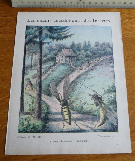 Protège-cahier SAKY – "Tue Les Mouches" – Diable – Auch Gers – Vintage
