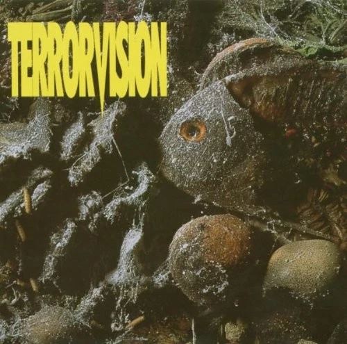 FORMALDEHYDE CD TERRORVISION (1993) Amazing Value Free P&P EUR 2