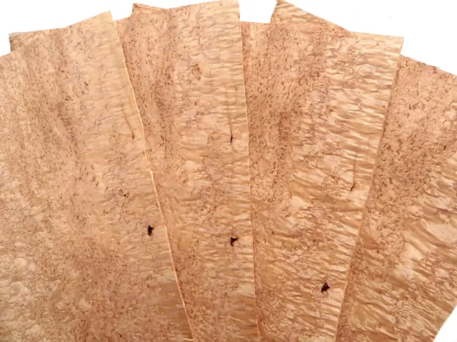 19x BIRKE MASER FURNIER Möbel Brett Regal Türplatte Massivholz Tisch EDELHOLZ