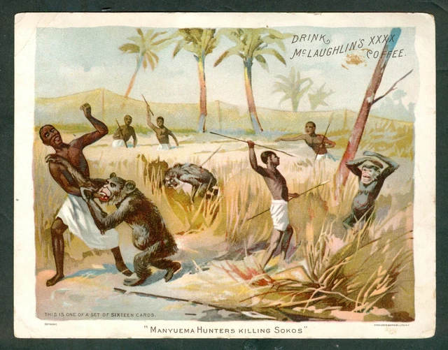 1890S MANYUEMA HUNTERS McLaughlin COFFEE Card K55 WILD ANIMAL Scenes SERIES