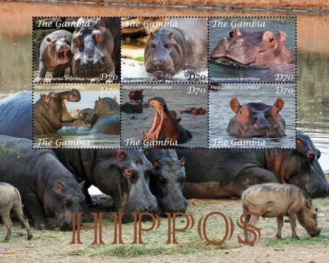 HIPPOS Hippopotamus Mammals / Wild Animals MNH 6v-Stamp Sheet (2021 Gambia)