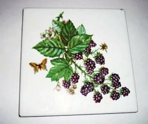 Imola Ceramica Coop Wall Tile Vintage Berry Design