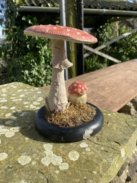 Original 1960S  Vintage school educational Model Of A Fly Agaric Mushroom.