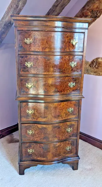 Tall / Upright Bow Front Chest of Drawers / Commode in Burr Walnut - 6 Drawers