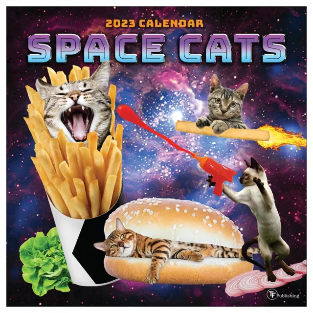 TF Publishing 2023 Space Cats Wall Calendar w
