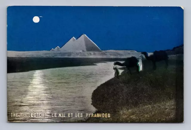 Nile River & Great Giza Pyramids "The Collector" Antique Egypt Postcard ~1910s