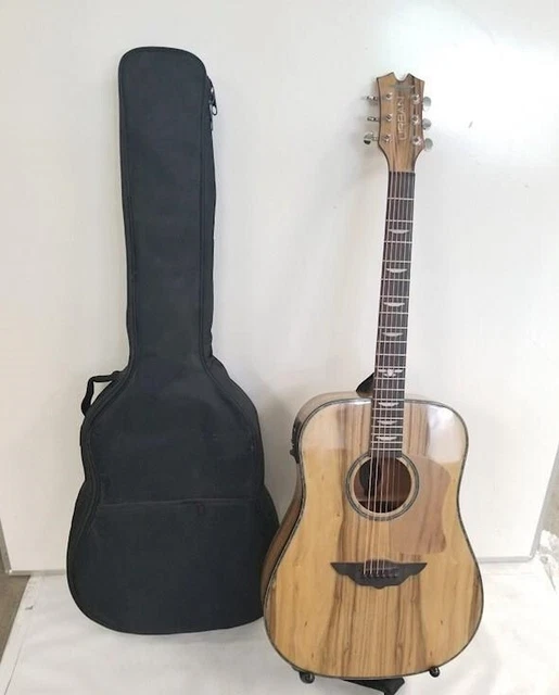 URBAN LIMITED EDITION Black Label Platinum Acoustic Electric Guitar w Gig Bag 400.00 PicClick
