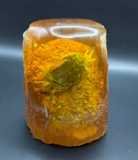 Amazing ancient amber with fossilized million year old insect