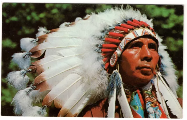 Indian Chief Color Postcard, Photo By A. Devaney, Inc.  55-29214-B Circa 1970