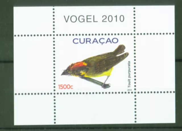 Curacao 2010 - Vögel Bird Oiseau Uccello Fugl Breitschnabeltyrann - Block 1 **