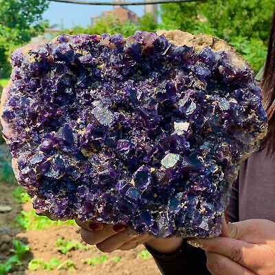 6.62LB Rare Transparent purple Cube Fluorite Mineral Crystal Specimen/Chin
